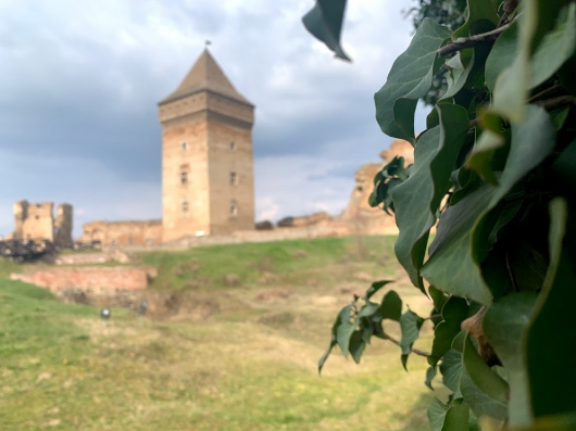 Tvrđava Bač