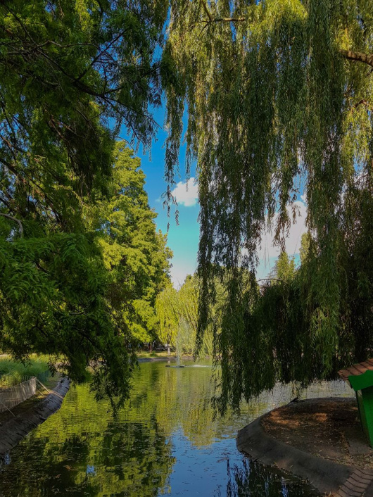 Dunavski park