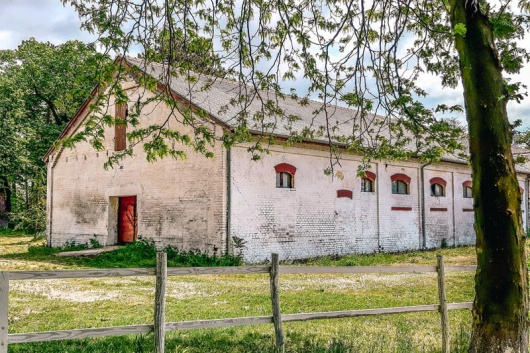 Ergela Ljubičevo