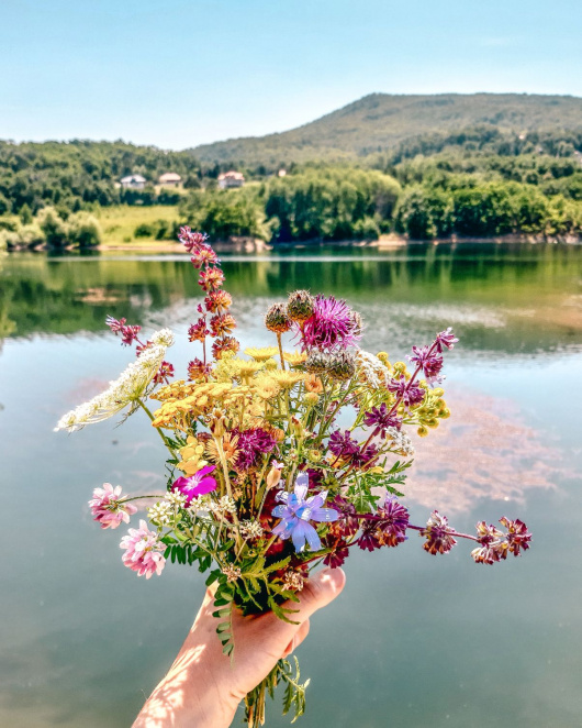 Borsko jezero 