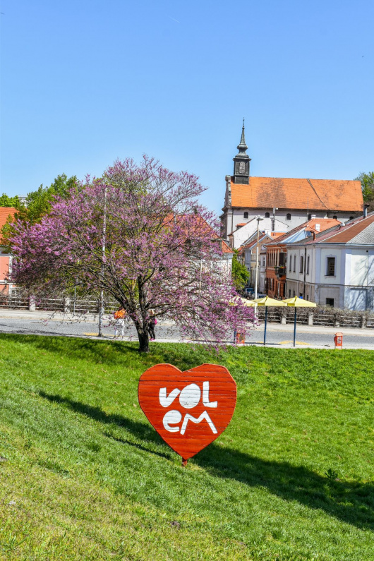Petrovaradin