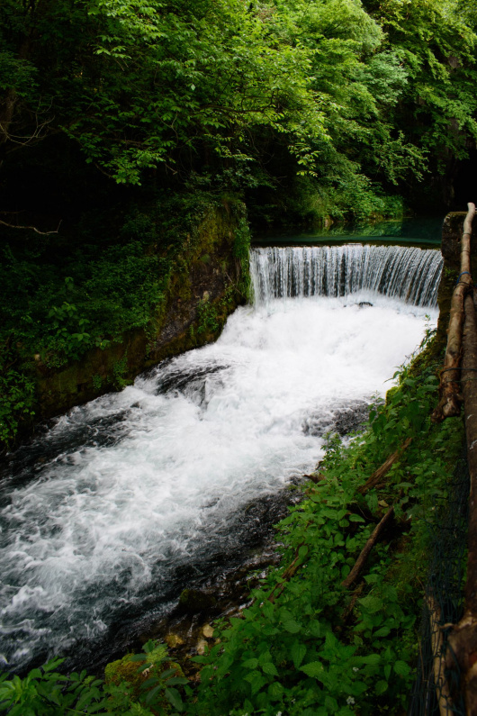 Krupajsko vrelo