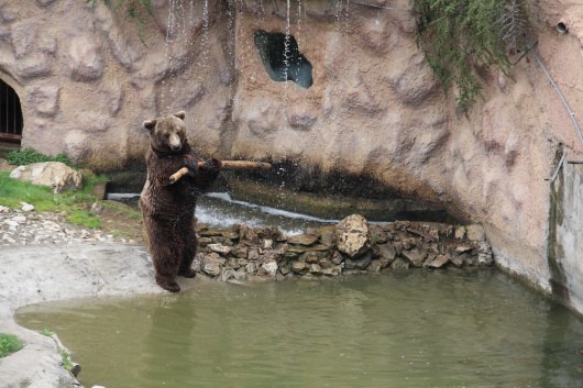 Zoo vrt na Paliću