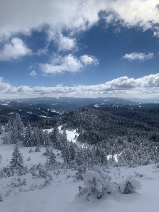 Jedan od pogleda sa Zlatara.
